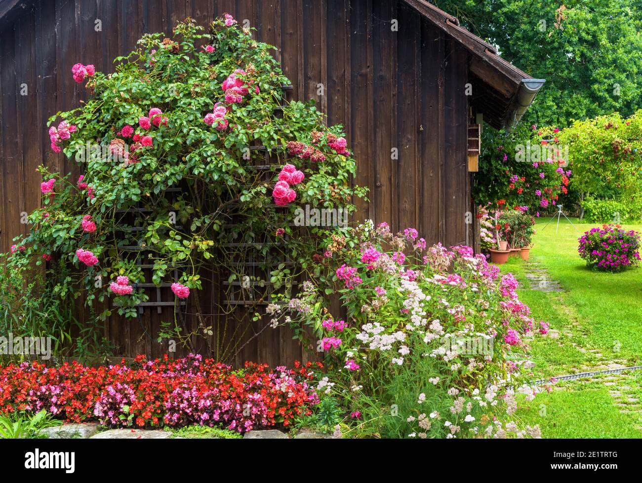 Landscape design with flowerbed at residential house, nice landscaping home garden, wooden wall overgrown by flowers and plants in summer. Beautiful l Stock Photo