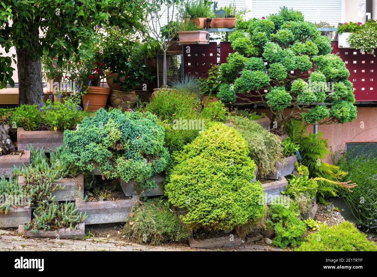 Landscape design with stones, plants and flowers at residential house, nice landscaping home garden. Scenic view of beautiful landscaped front yard, g Stock Photo