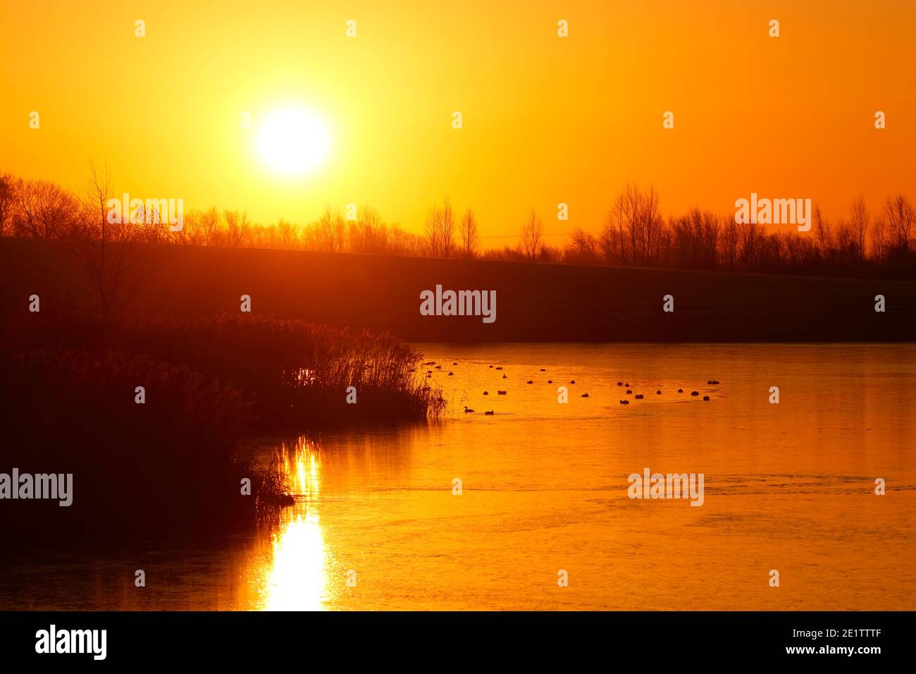 Sunrise over a frozen Bowers Lake at St Aidan's Nature Park in