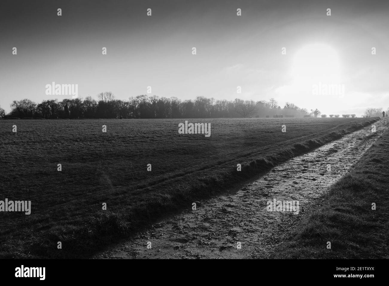 Epsom Race Track Stock Photo Alamy