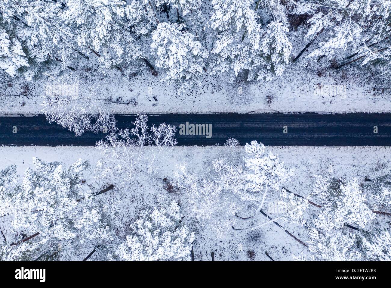 Top view of black asphalt road through snowy forest, Poland Stock Photo ...