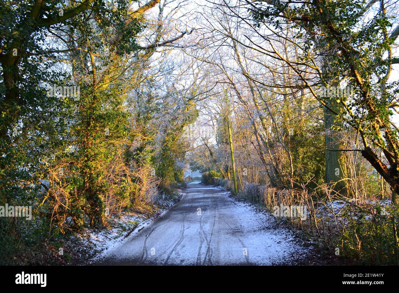 Fackenden Down, in Kent, near Sevenoaks, in snow and frost in January 2021 in late afternoon. Iced up trees, misty vistas, frosted branches, icy road Stock Photo