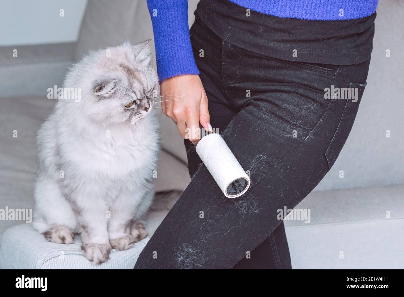 Woman cleaning lint roller hires stock photography and images Alamy
