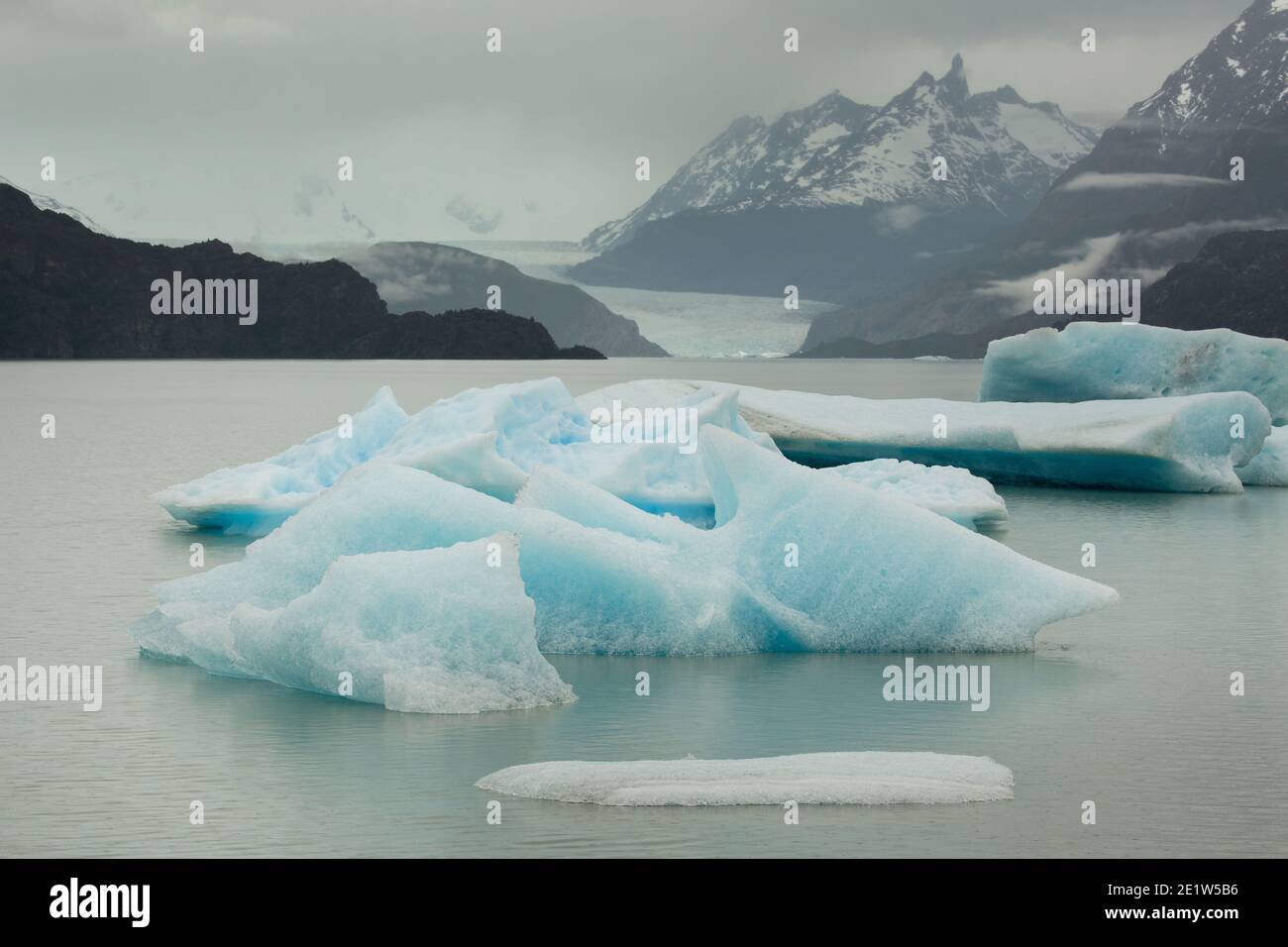Icebergs calved from Glacier Grey float in the waters of Lago Grey, with the jagged peaks of Torres del Paine behind, Patagonia, Chile Stock Photo