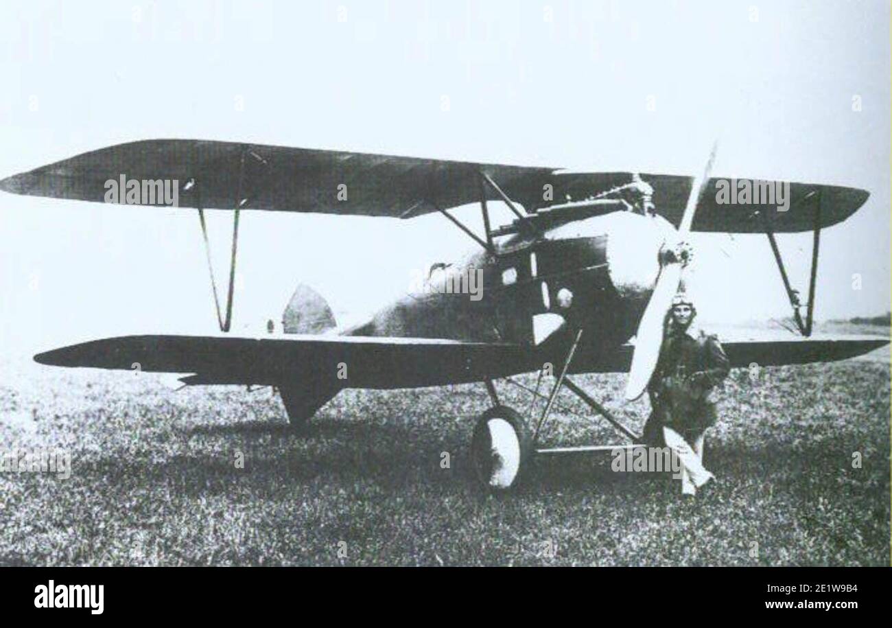 Austrian-built Albatros D.III (Oef) series 253 Stock Photo
