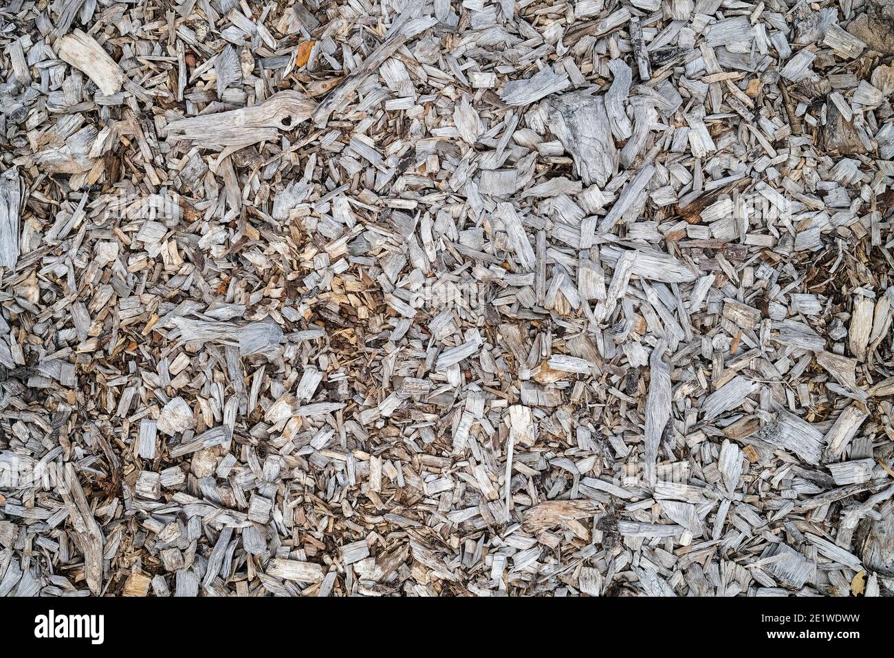 Wood chips mulch Stock Photo Alamy