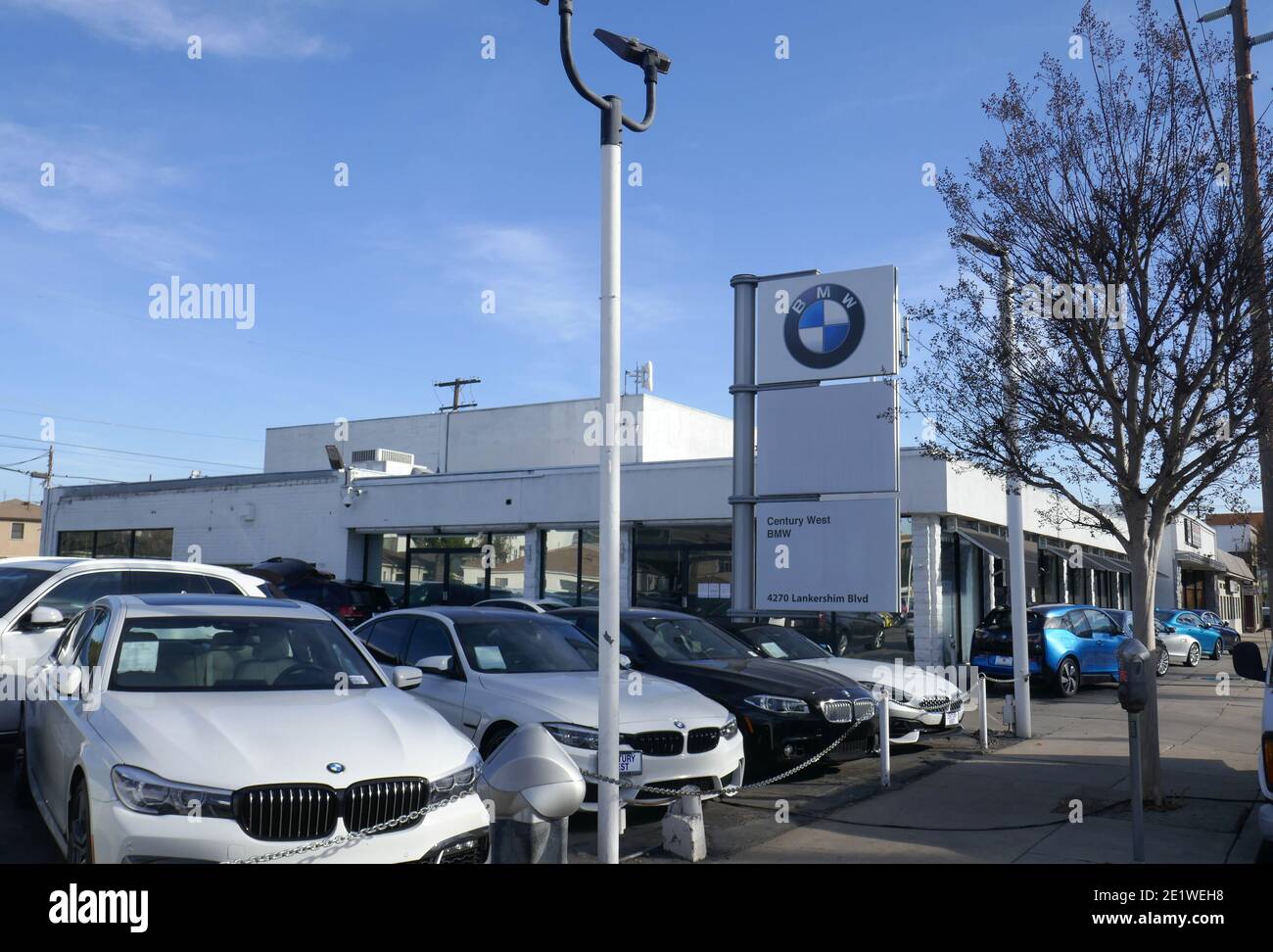 North Hollywood California, USA 9th January 2021 A general view of atmosphere of Alfred