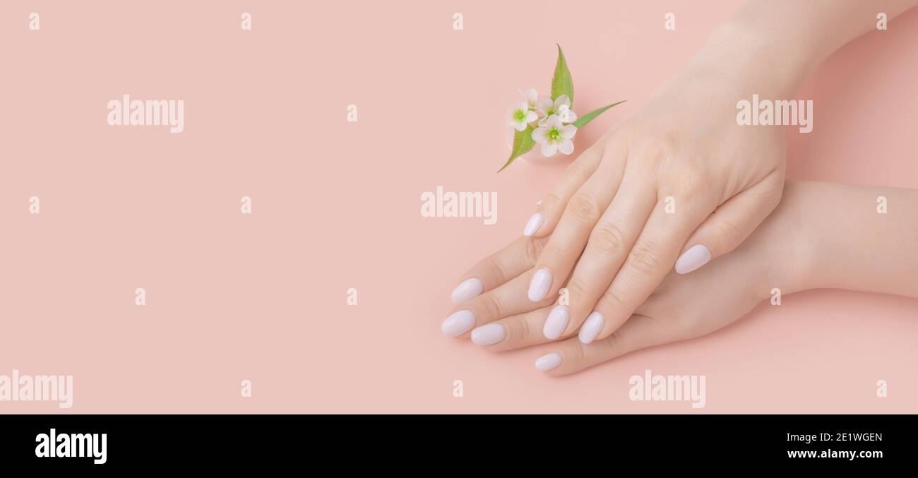 Close-up beautiful female hands with flowers on pink background. Concept hand care, anti-wrinkles, anti-aging cream, spa. copy space. banner Stock Photo