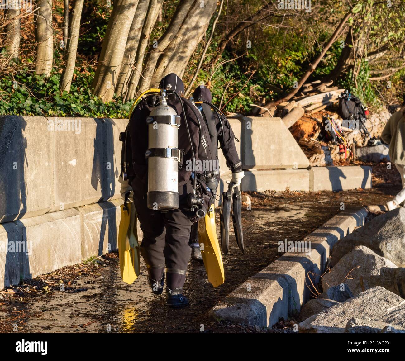 Woman scuba gear wetsuit hires stock photography and images Alamy