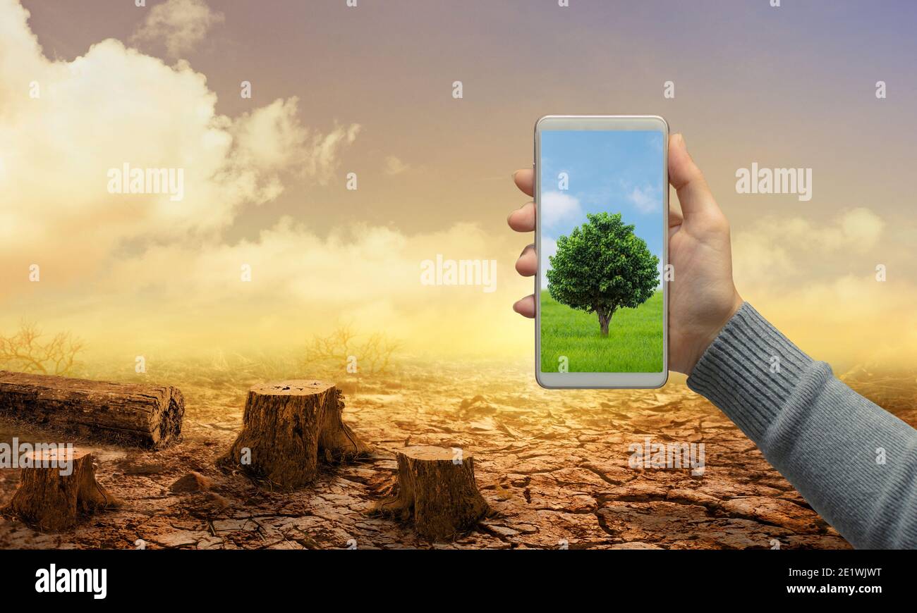 Woman hand holds modern green tree screen smartphone on dead stump tree and cracked land. Saving environment and natural conservation concept. Stock Photo