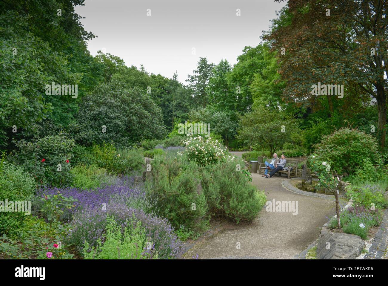 Koelner flora hires stock photography and images Alamy