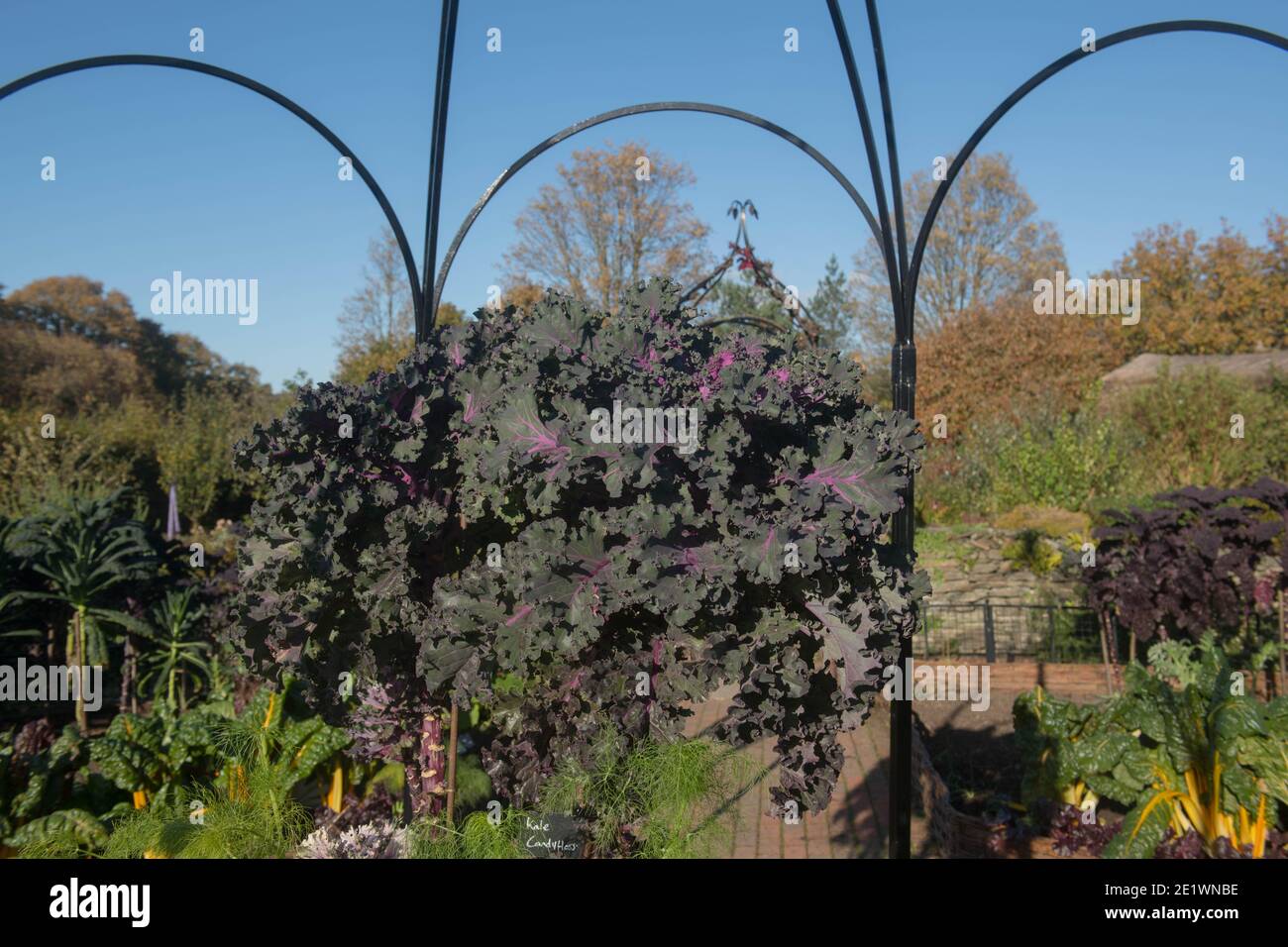 Potager garden hires stock photography and images Alamy