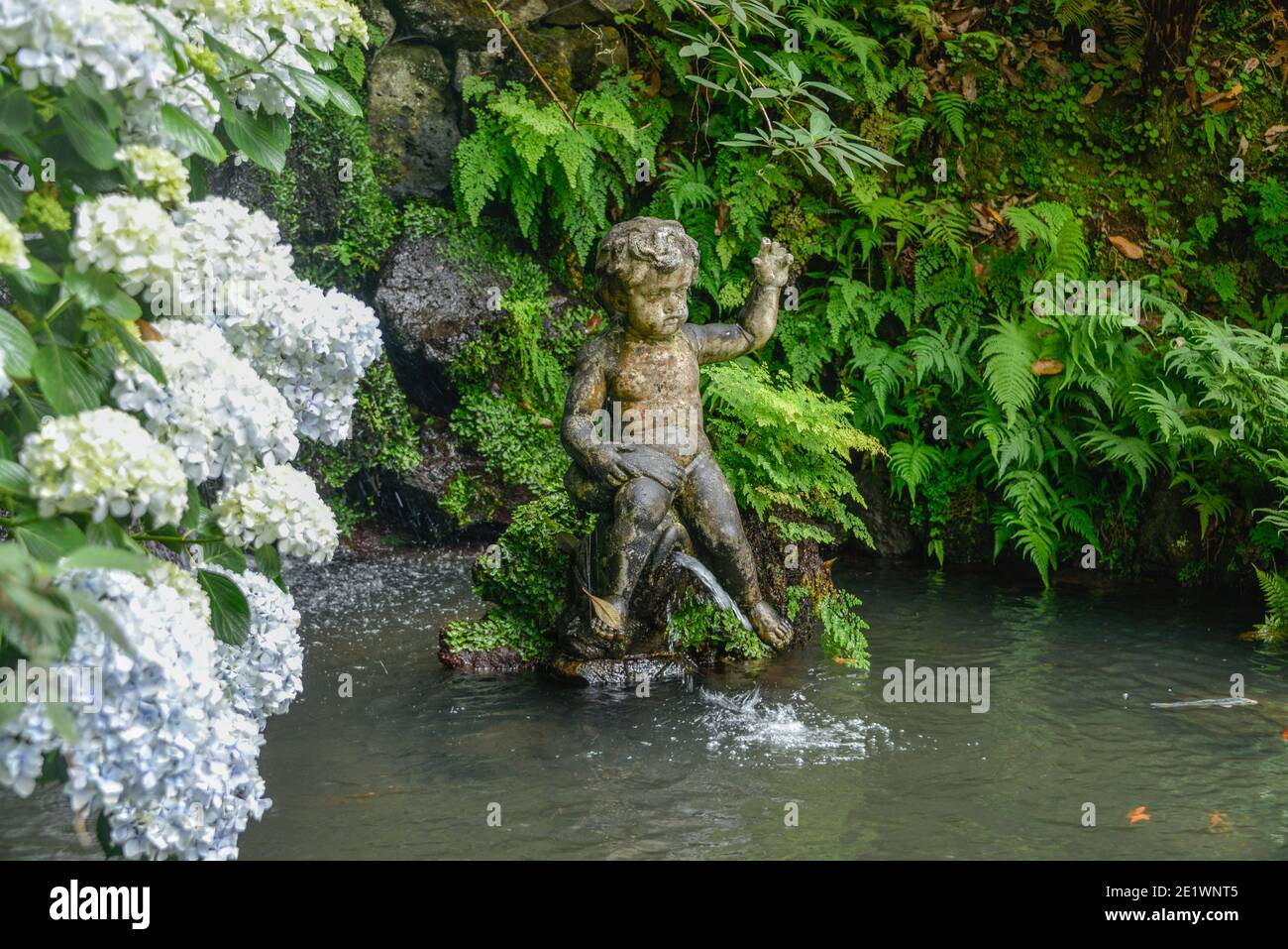 Putte, Springbrunnen, Monte Palace Tropical Garden, Monte, Funchal, Madeira, Portugal Stock Photo