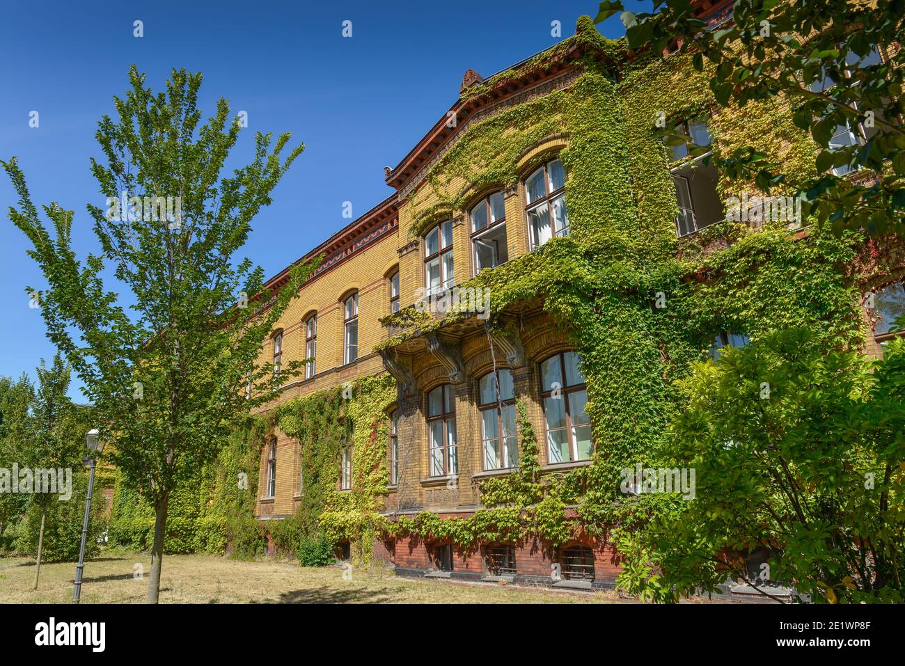 Haus 5, Bezirksamt Pankow, Froebelstrasse, Prenzlauer Berg, Pankow