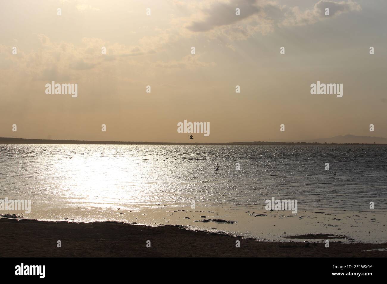 Golden reflections on the water created by the setting sun Stock Photo ...