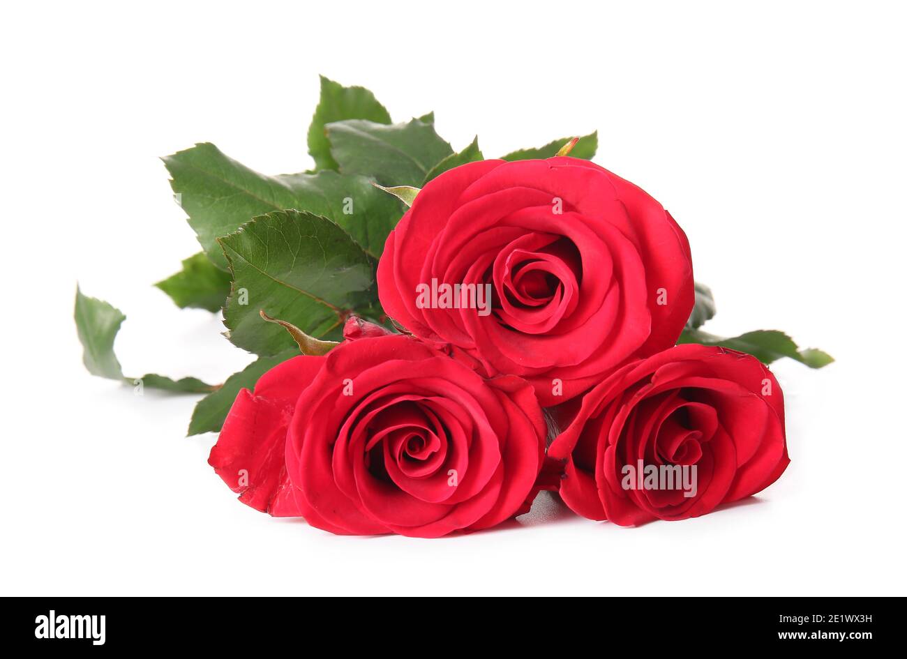 Bouquet of beautiful red roses on white background Stock Photo - Alamy