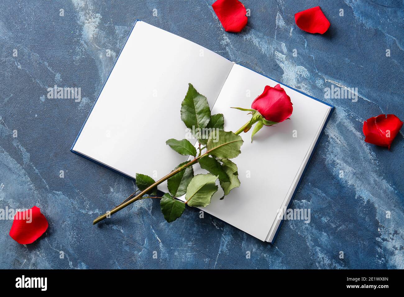 Book with blank pages and beautiful red rose on color background ...