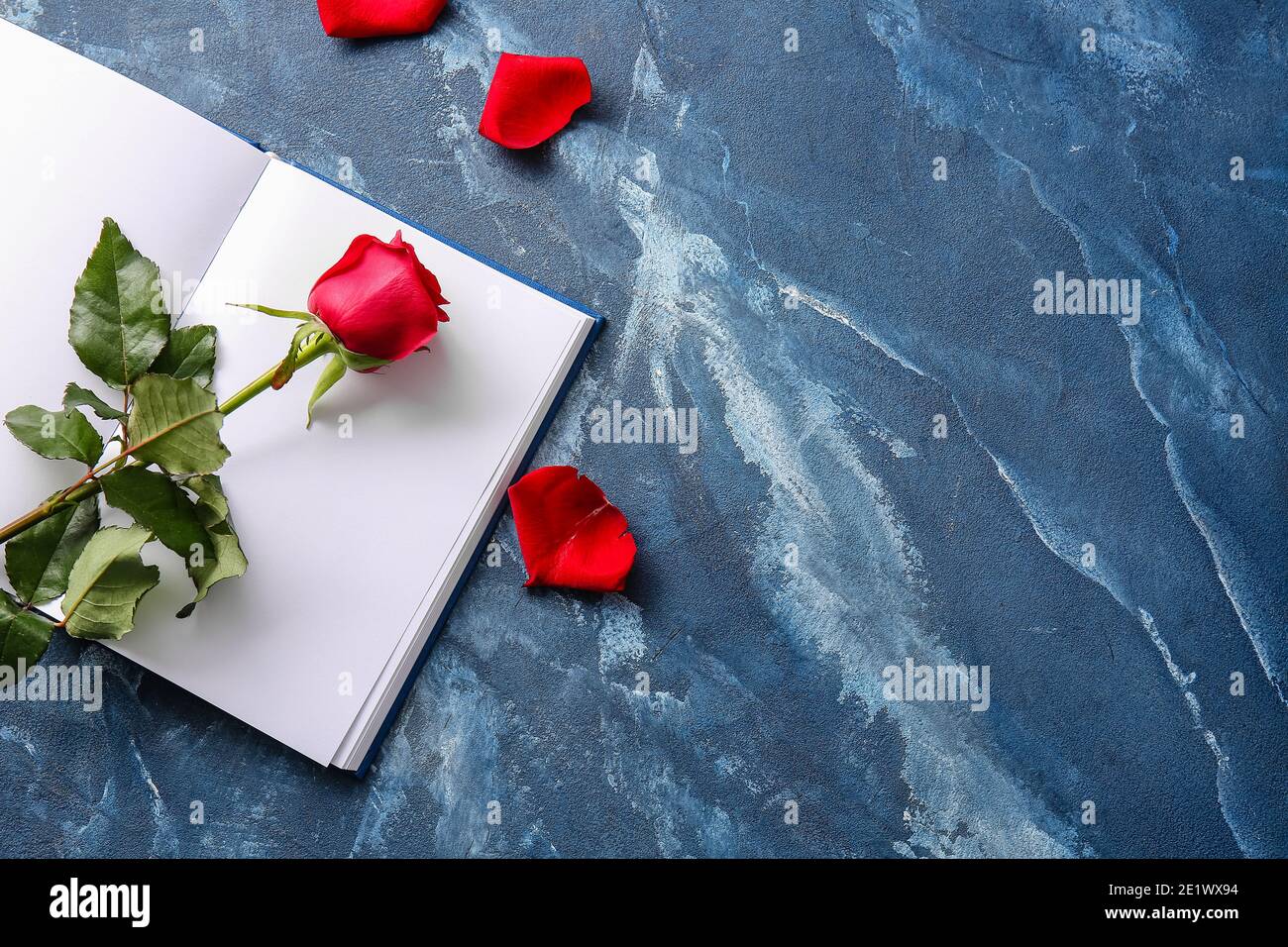 Book with blank pages and beautiful red rose on color background ...