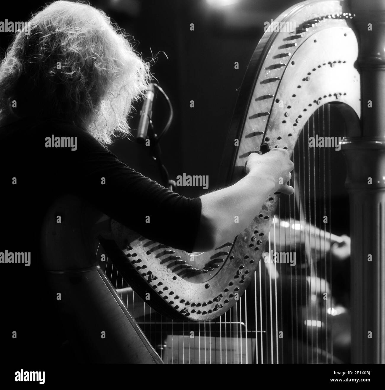 The musician tweaks the harp. Harp player. Classical musician harpist playing harp. Female musician playing the harp. Stock Photo
