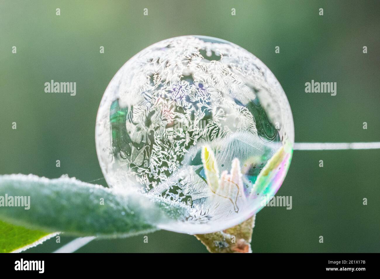 Ice buuble hires stock photography and images Alamy