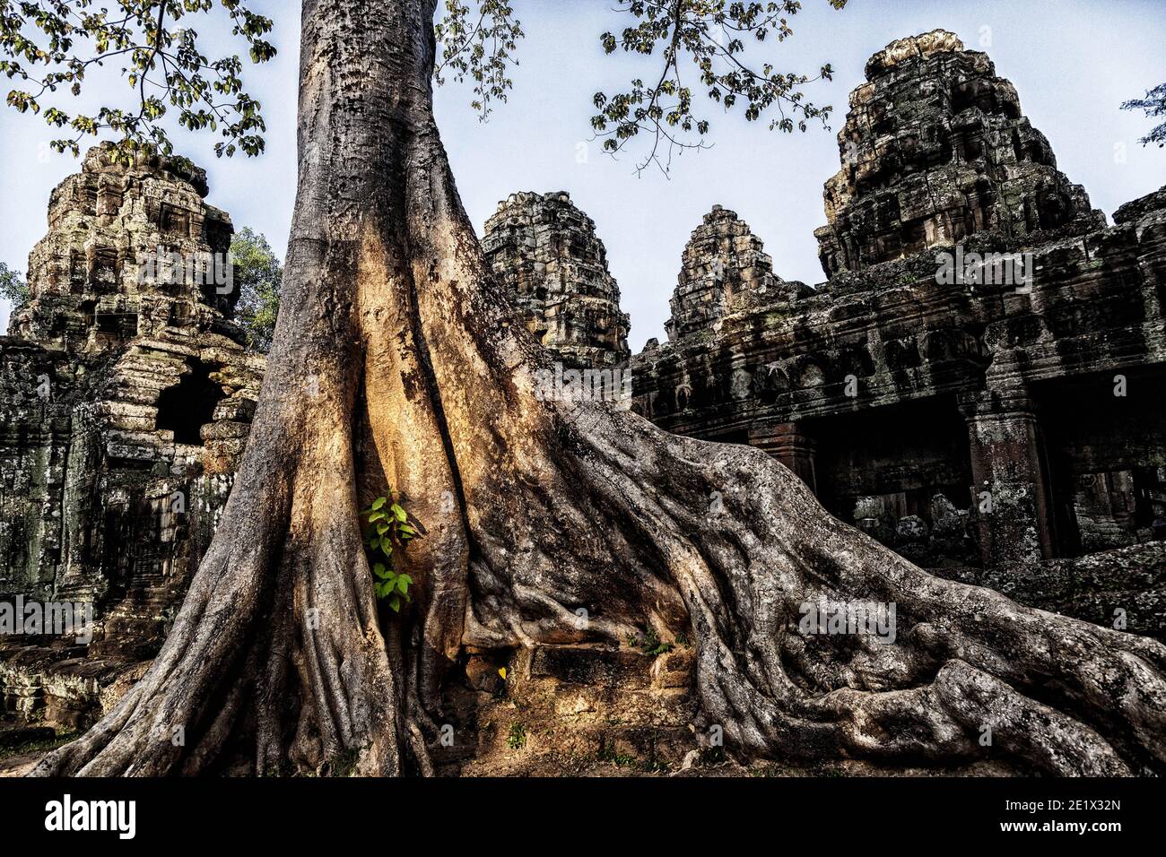 Angor Wat in Cambodia Stock Photo