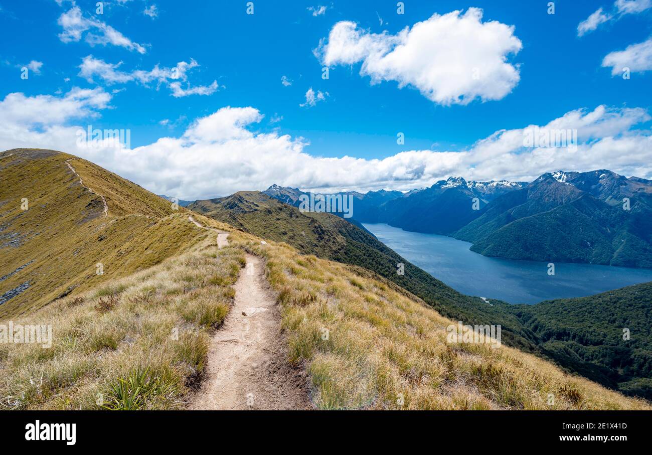 Kepler Track hiking trail, views of the South Fiord of Lake Te Anau, Murchison Mountains and Kepler Mountains in the background, Great Walk Stock Photo