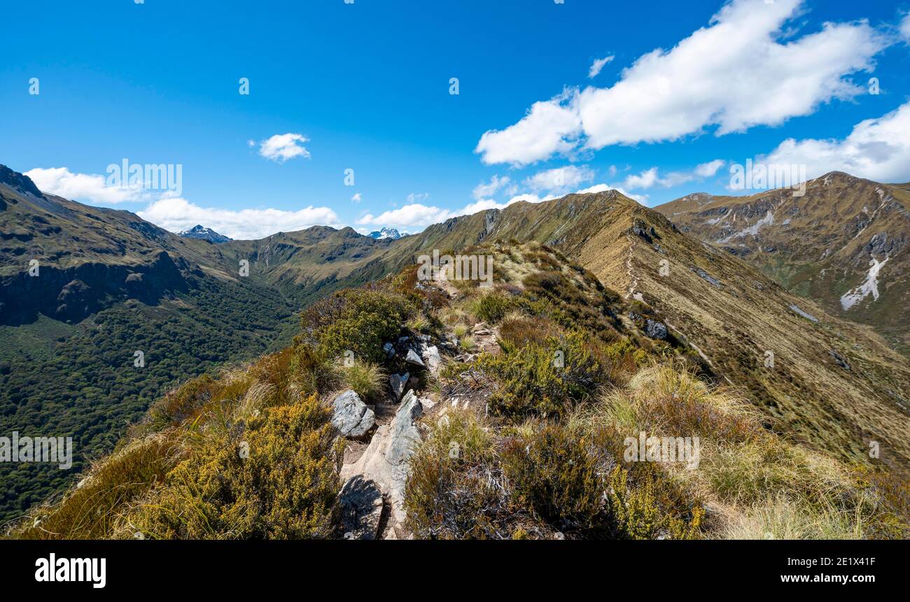 Kepler Track Ridge Kepler Track hiking trail, views of the Kepler Mountains, Great Walk ...