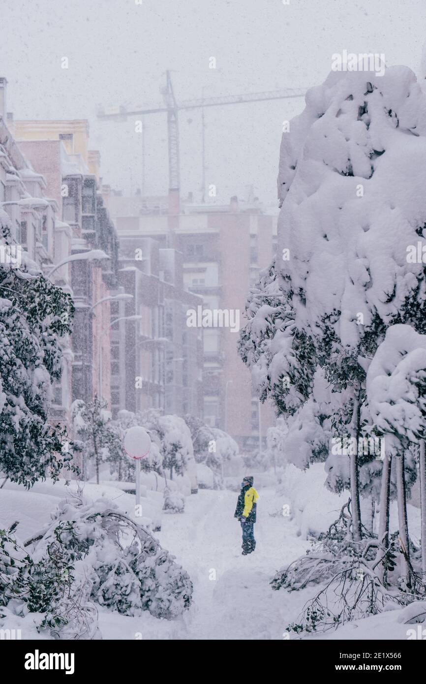 Madrid, Spain - January 2021: a person surrounded by fallen trees in a street of Madrid due to Filomena Storm stares at the ceilling. Covered in snow Stock Photo