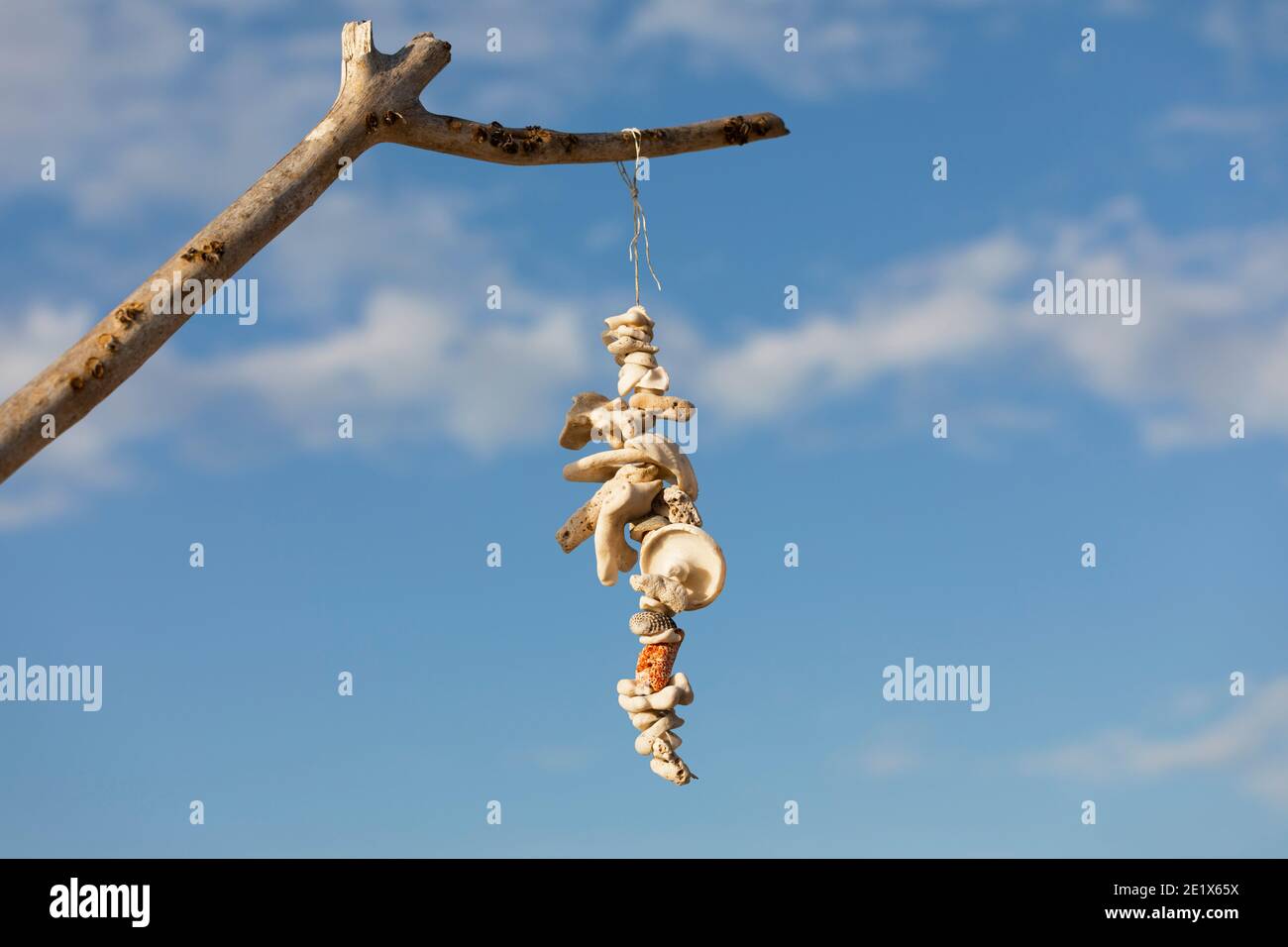 handcrafted decoration of pieces of drift wood and , sea shells fluttering in the wind with a blurred back ground Stock Photo