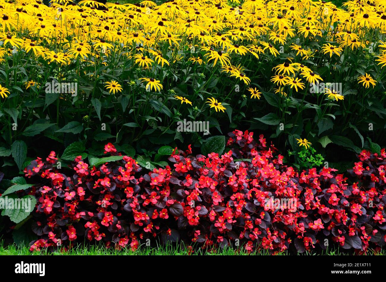 Beautiful garden summer hi-res stock photography and images - Alamy
