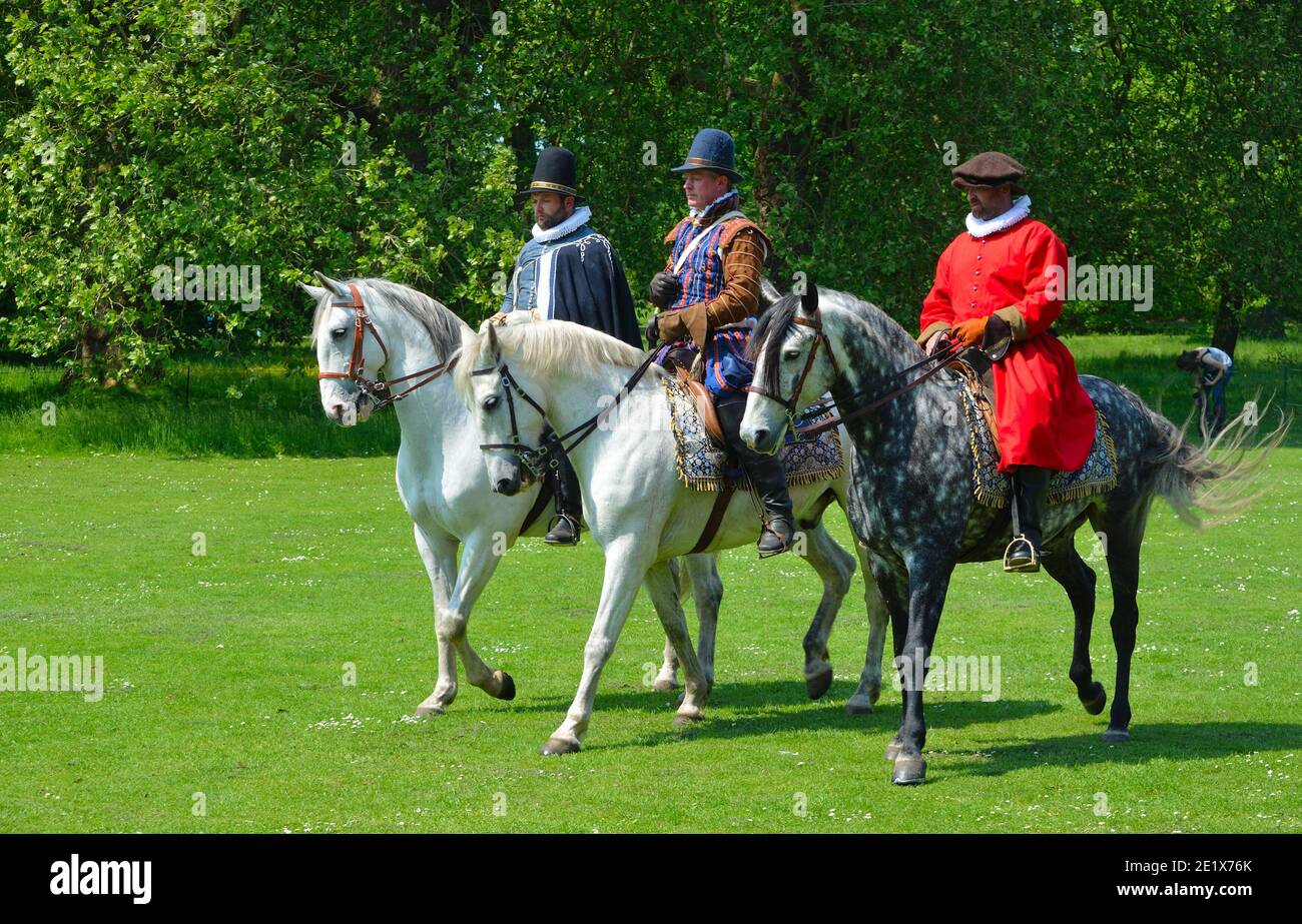 Three Grey horses  being  ridden by men wearing Elizabethan costumes. Stock Photo
