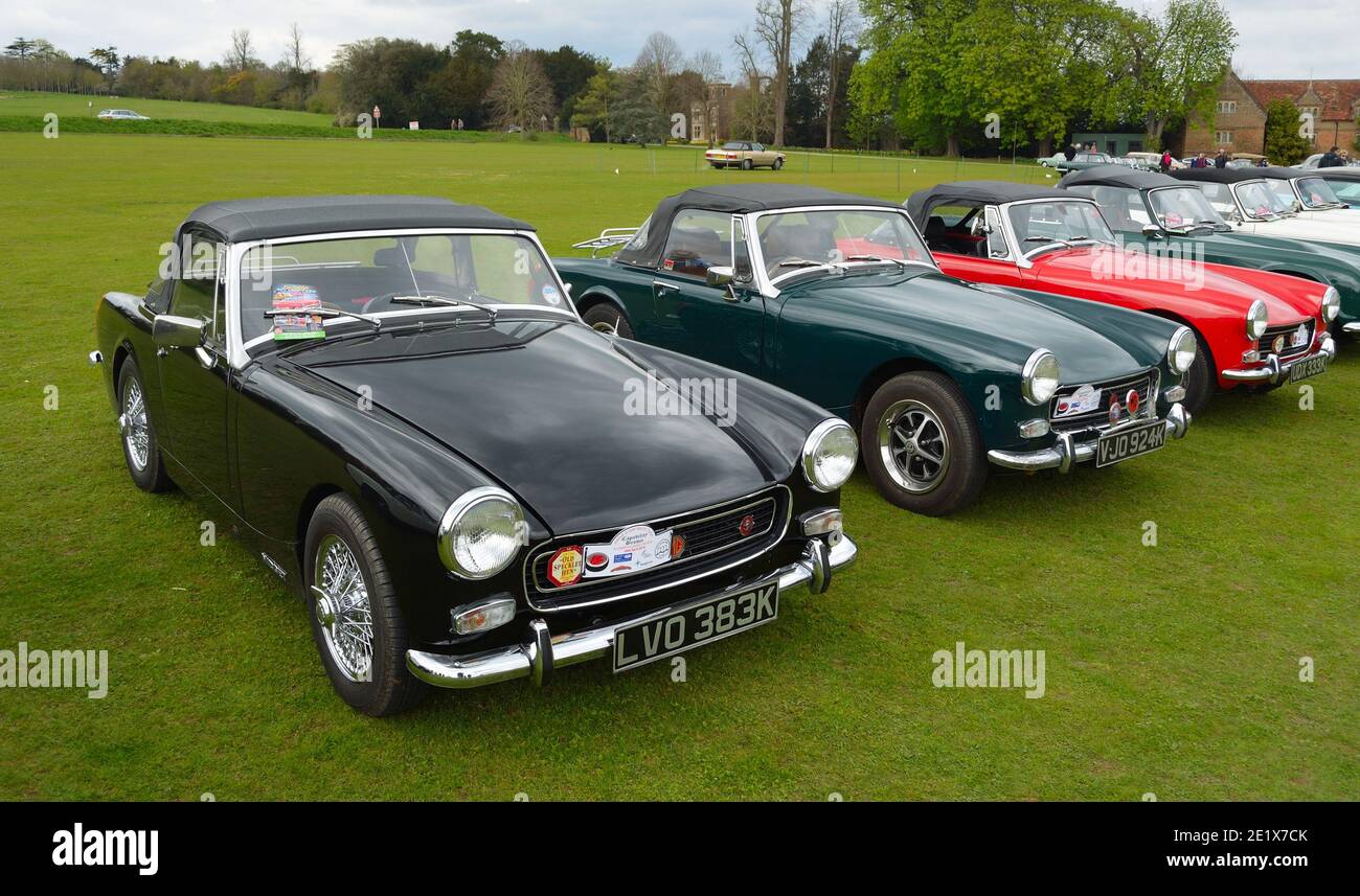 Classic MG B motor cars parked on grass.. Stock Photo