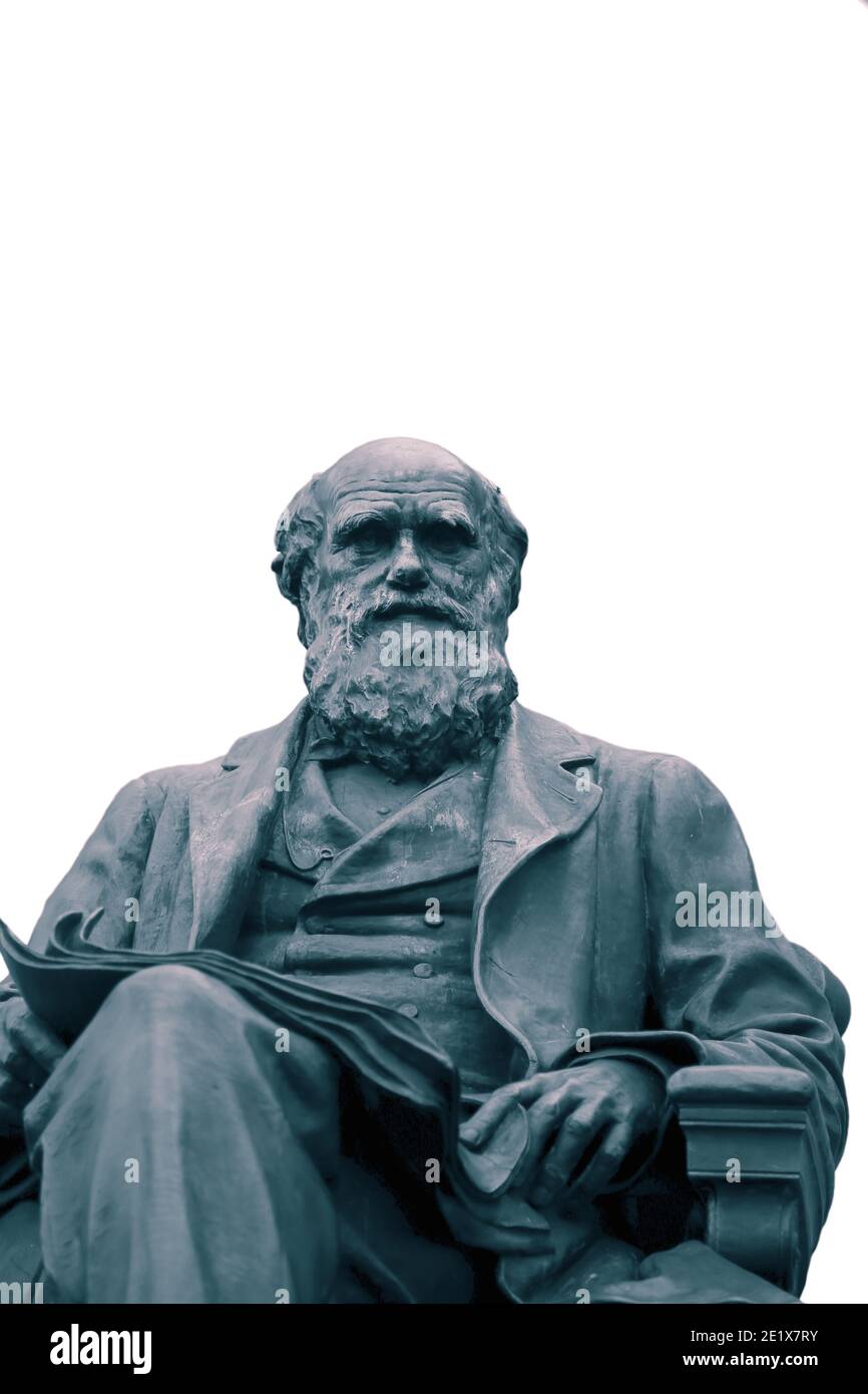Statue of Charles Darwin isolated on a white background. With colour