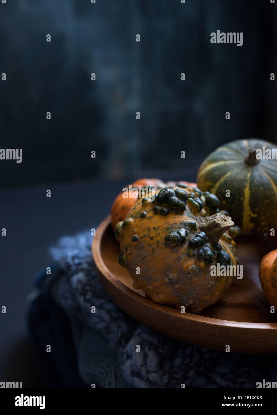 Closeup view of a dwarf and ugly pumpkin. It is laid and is sharing a wooden dish with three more little pumpkins. Dark blue background. Stock Photo