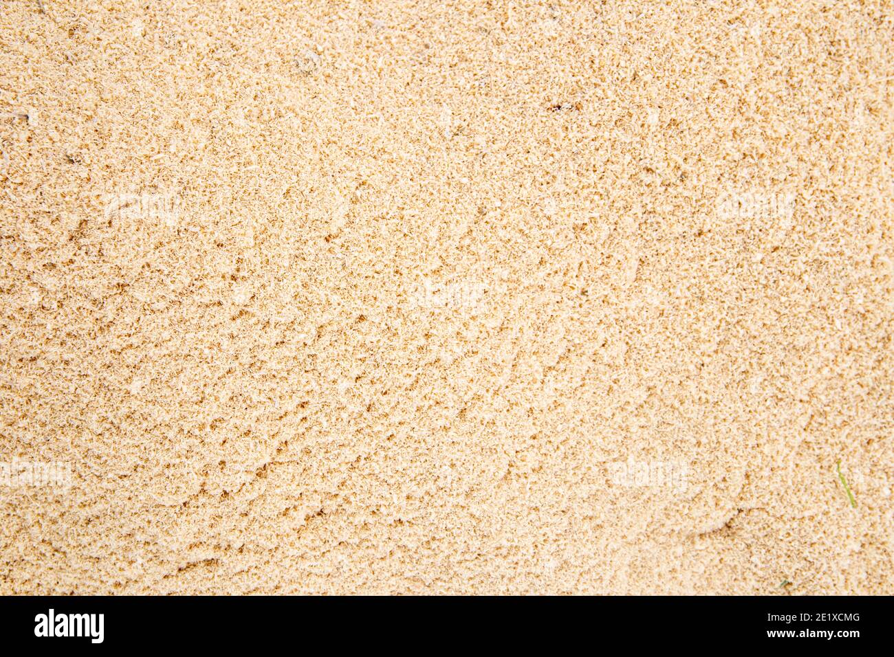 Seamless scobs yellow texture background Stock Photo
