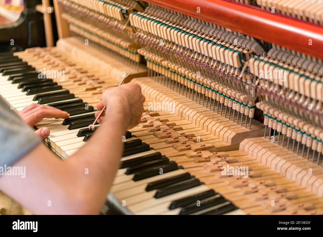 Piano tuning process. closeup of hand and tools of tuner working on