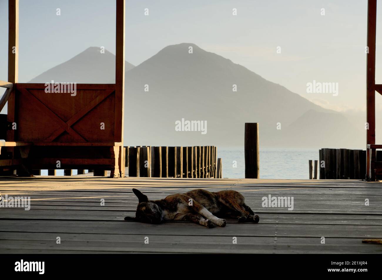 Guatemala, Central America: Lake Atitlán (Atitlan) with volcanos Toliman, Atitlan and a dozing dog in the foreground - sunset Stock Photo