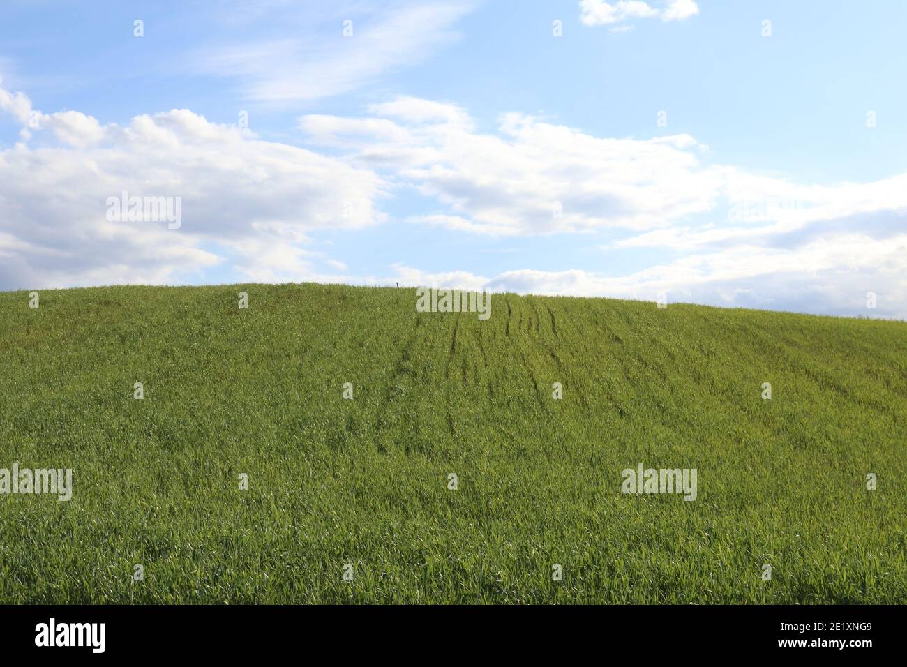 Farmland in spring Stock Photo