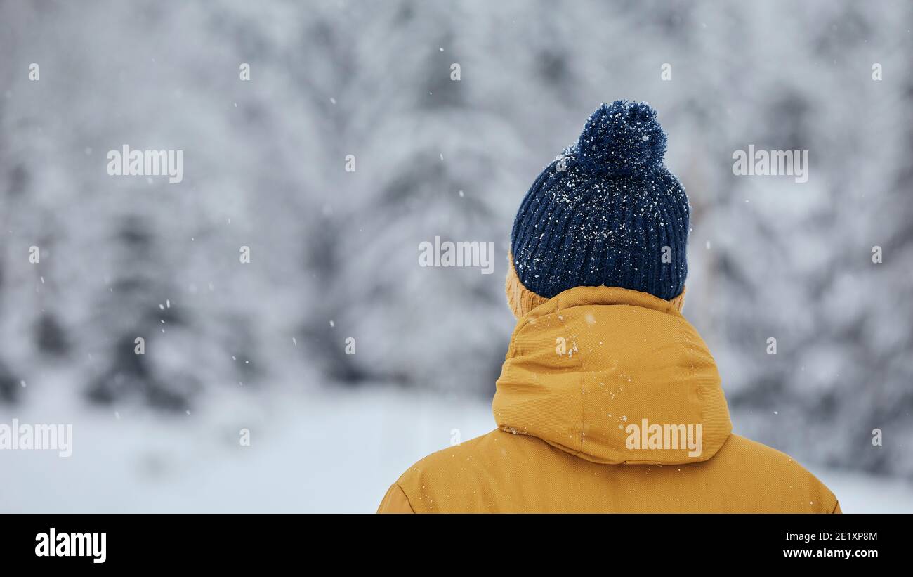 Rear view of man in winter nature. Tourist wearing warm clothing against trees covered white snow. Stock Photo
