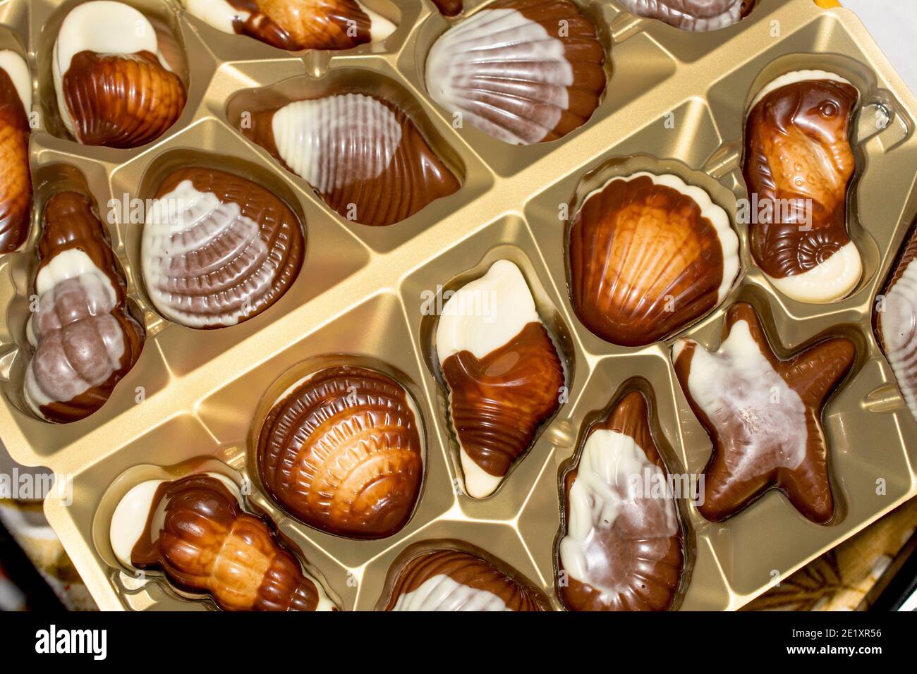 Belgian chocolate seashells hi-res stock photography and images - Alamy