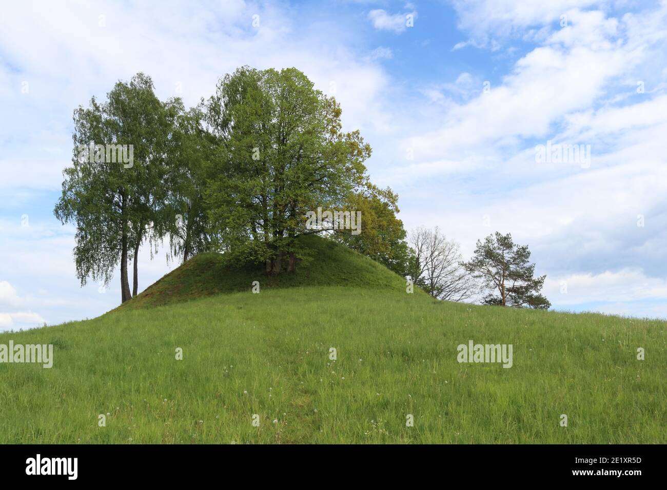 Mound in spring Stock Photo