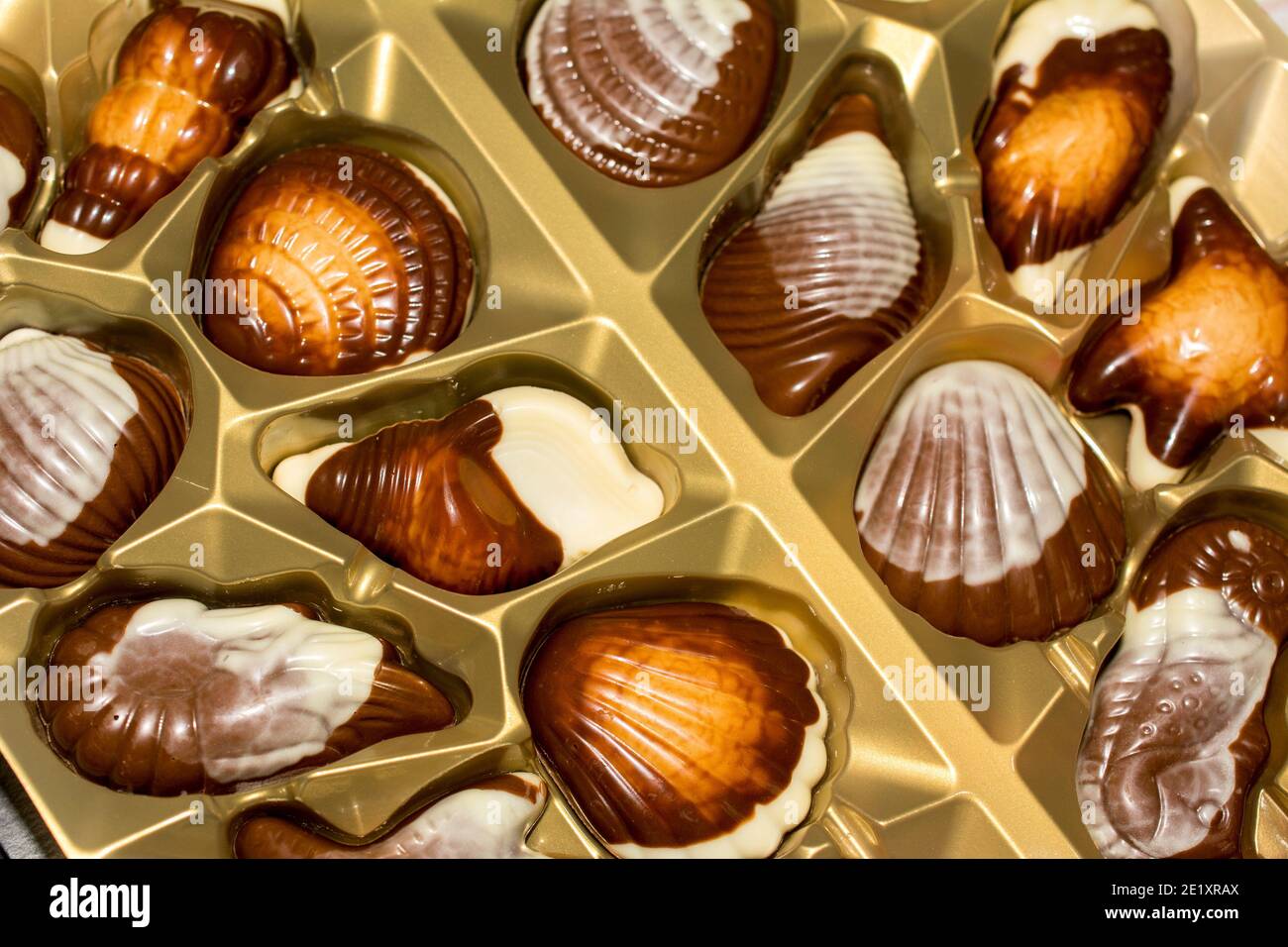 Belgian chocolate candies Seashells. Best quality Stock Photo