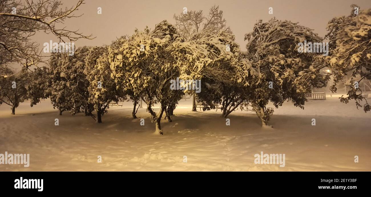 Park and trees with Snow Stock Photo - Alamy