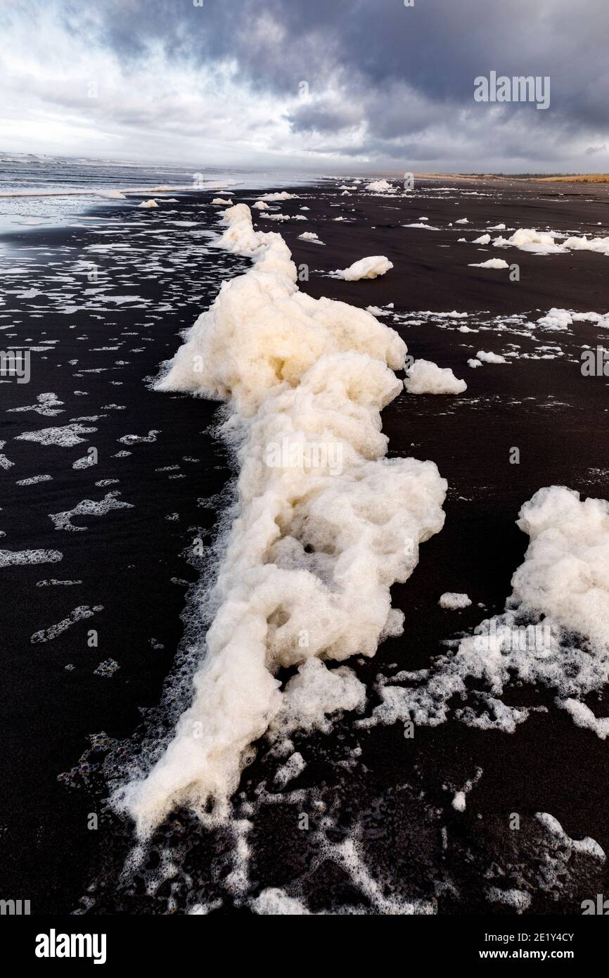 WA20058-00.....WASHIHGTON - Sea foam, ocean foam, beach foam, or spume is a type of foam created by the agitation of seawater, particularly when it co Stock Photo