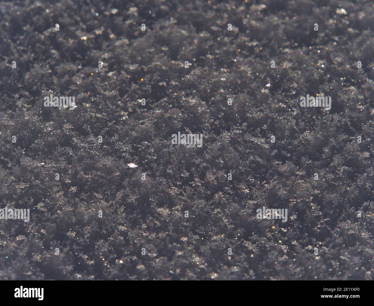 Close-up view with beautiful pattern of snow-covered meadow with ice crystals sparkling in the sunlight in winter season. Focus on center of image. Stock Photo