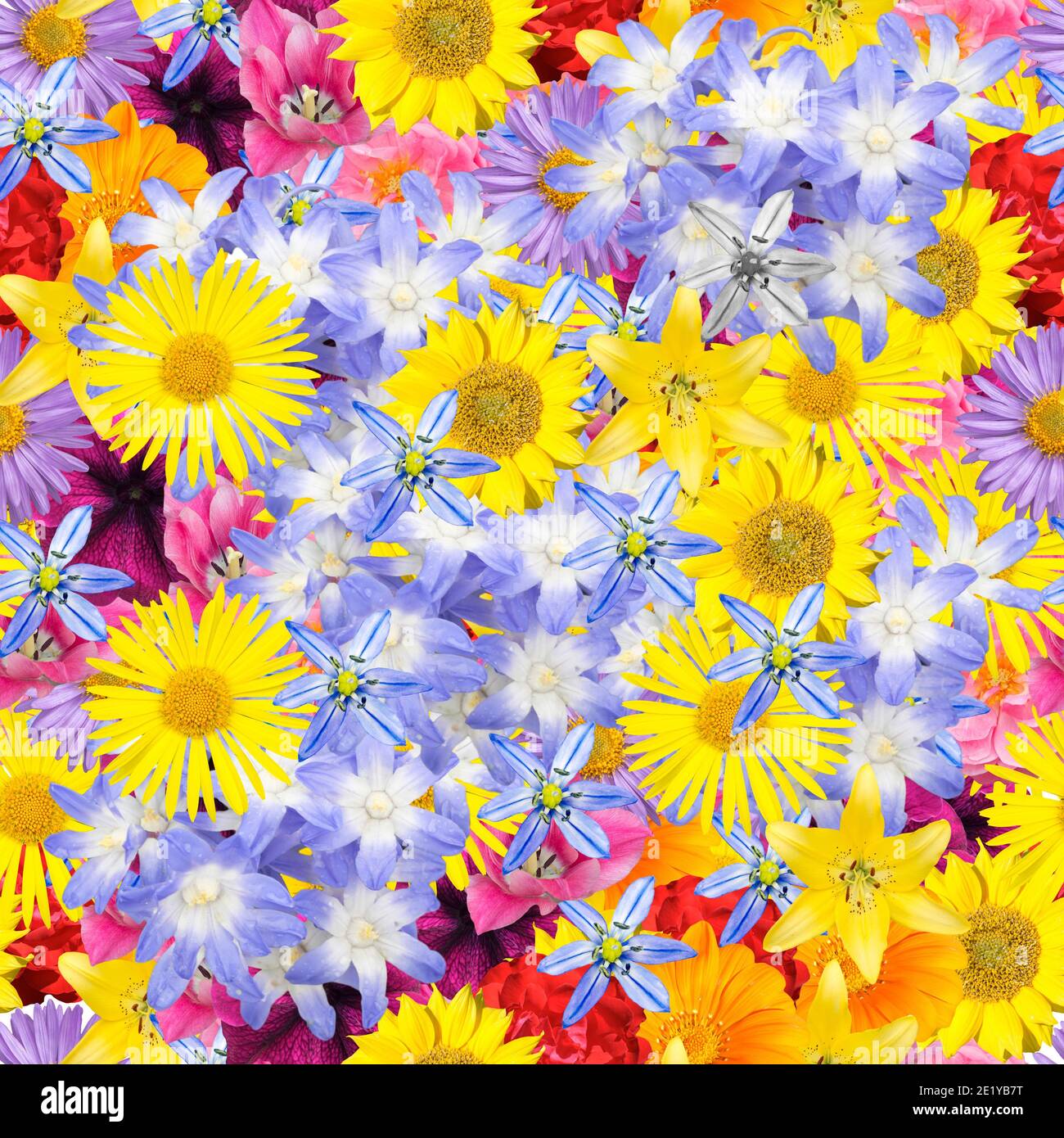 Seamless floral pattern with different bright flowers Stock Photo