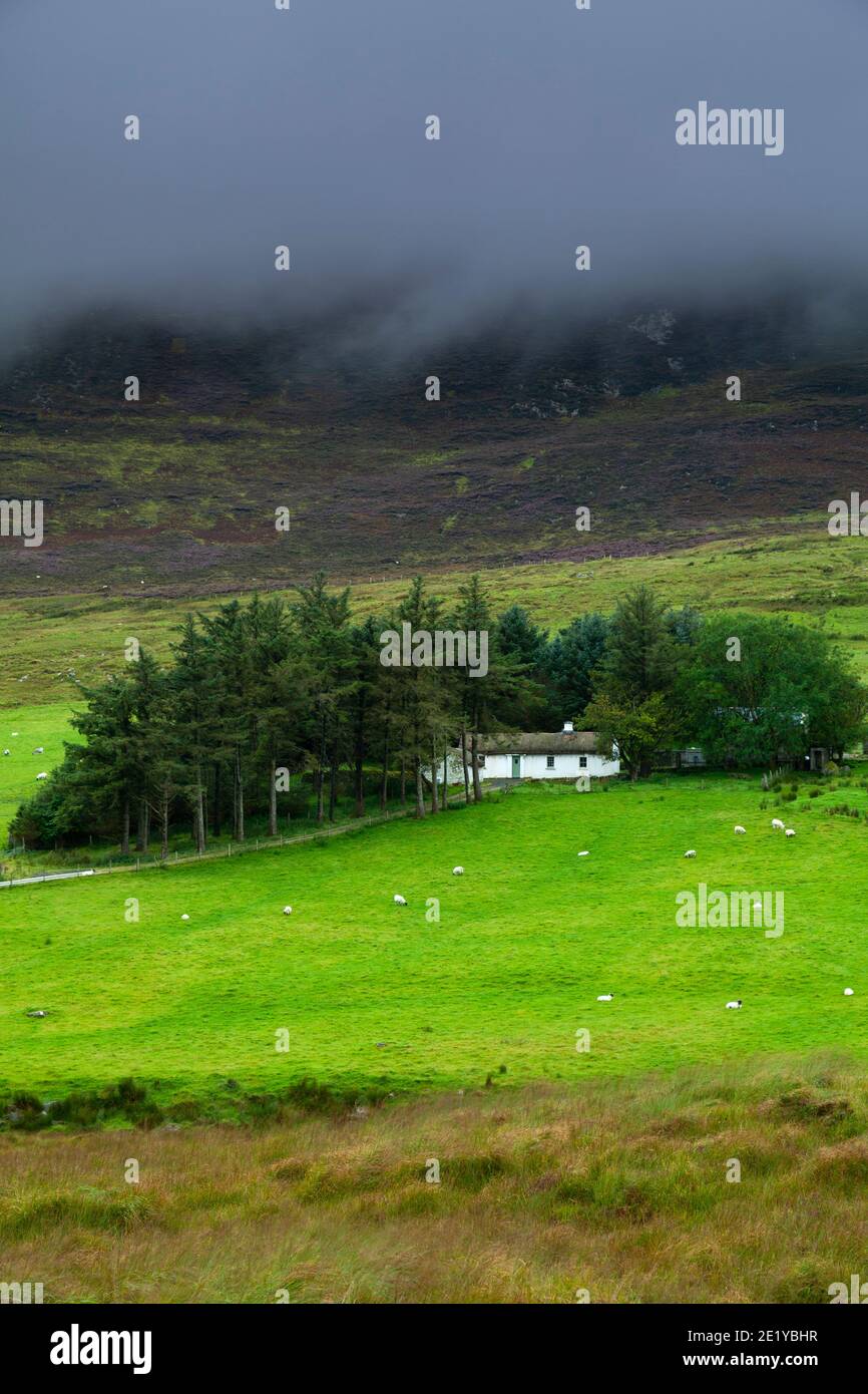 Thatched cottage sheltered by trees under mist covered mountain on the Wild Atlantic Way in Donegal in Ireland. Stock Photo