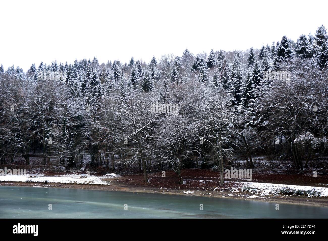 Spaziergang winter wald hi-res stock photography and images - Alamy