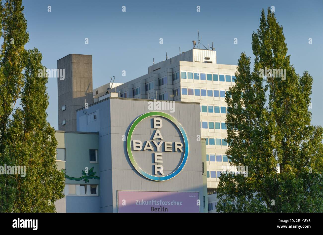 Bayer, Pharma, Muellerstrasse, Wedding, Mitte, Berlin, Deutschland