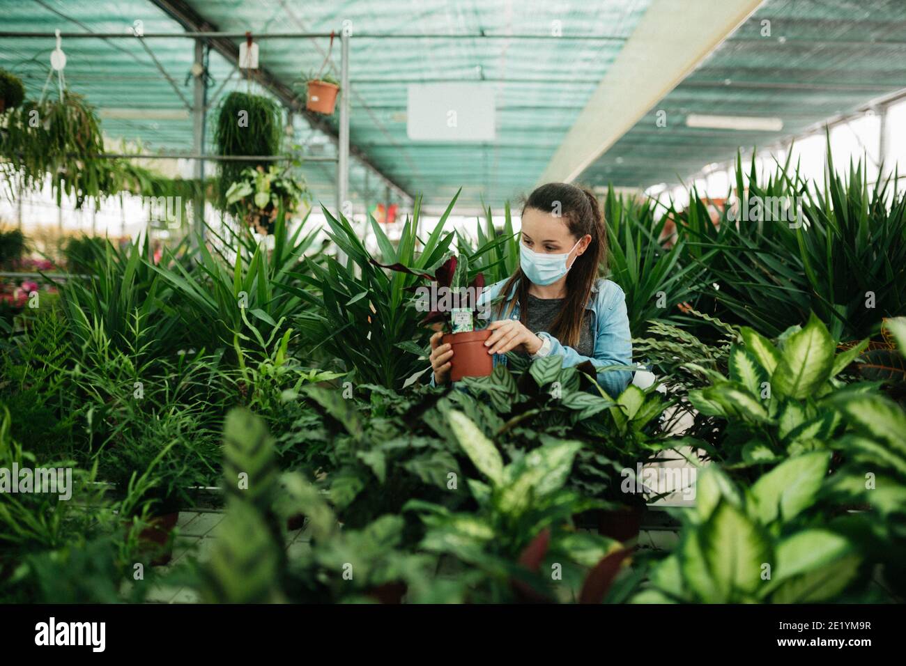 Girl in mask holding plants in a garden Stock Photo